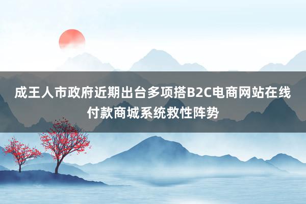 成王人市政府近期出台多项搭B2C电商网站在线付款商城系统救性阵势